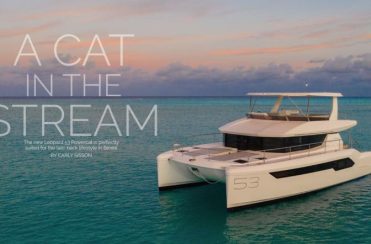 Leopard-53-PC-bimini